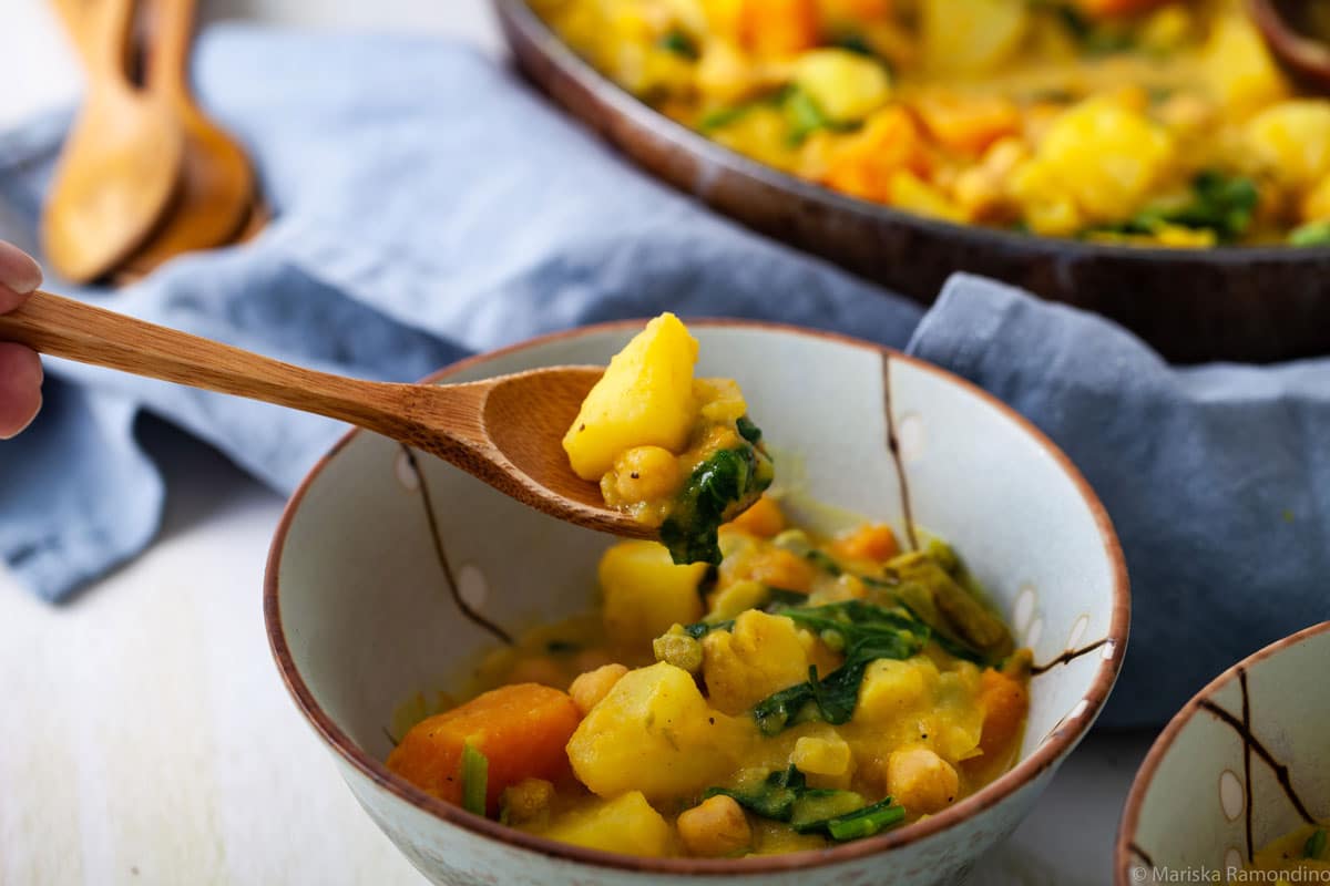 ONE HEARTY VEGETABLE STEW RECIPE IN A BOWL