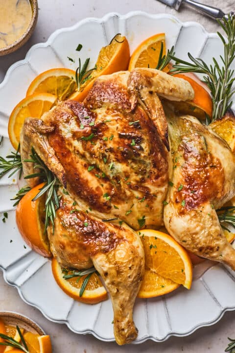 an overhead shot of a spatchcocked chicken on a white platter with orange slices and sprigs of rosemary tucked in the side.