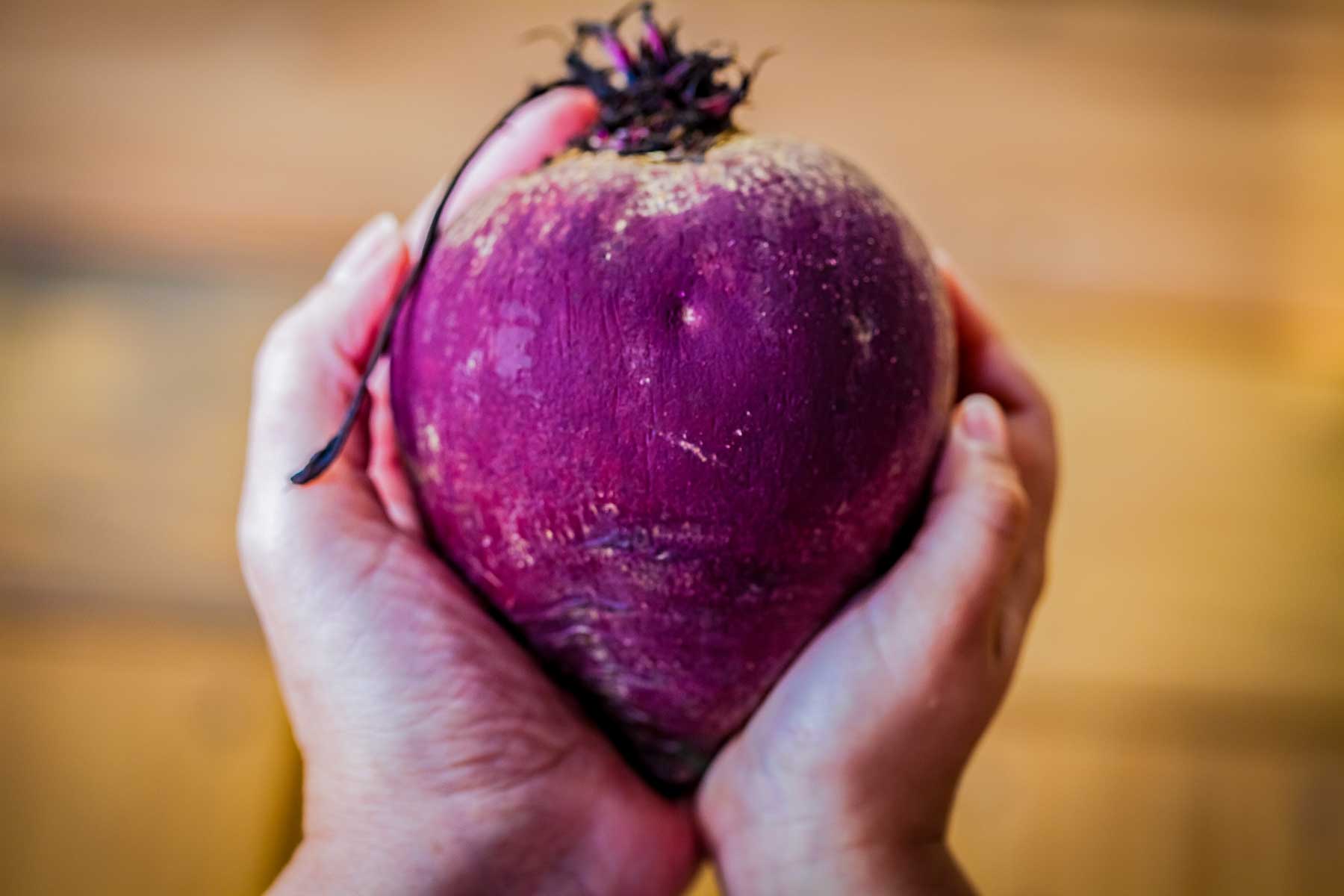 Small hands holding a beet root in the shape of a heart.