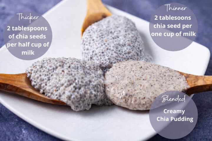 Three spoons resting on a small plate and filled with chia pudding with different consistencies.