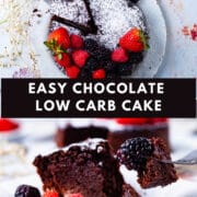 Easy Chocolate Low Carb Cake.