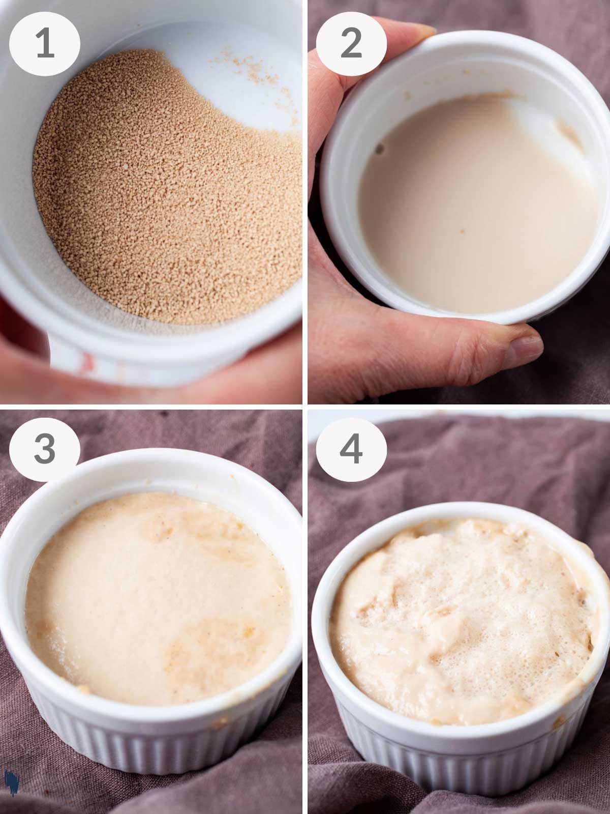 A series of steps showing how to activate dry yeast.