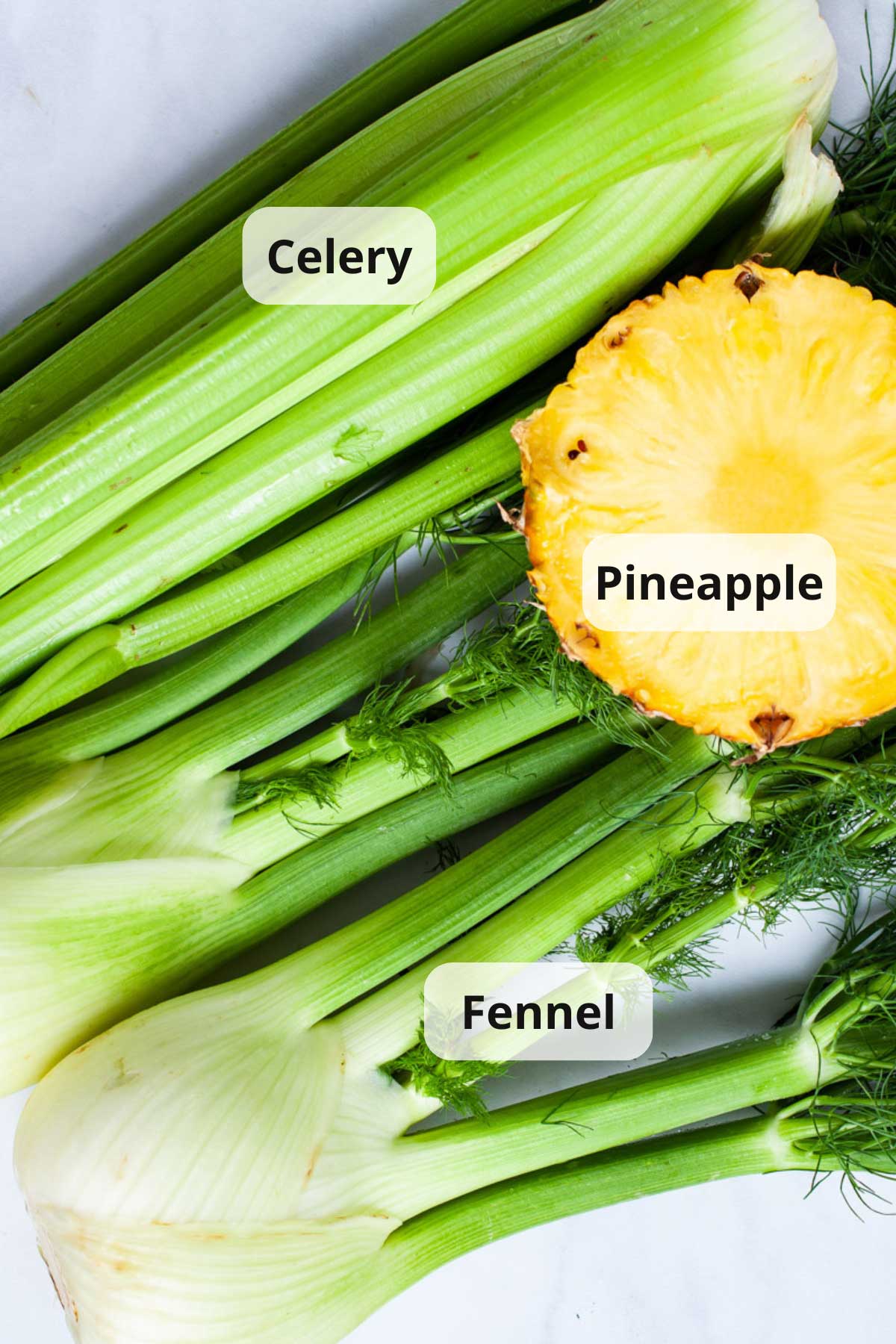 Ingredients to make fennel juice.