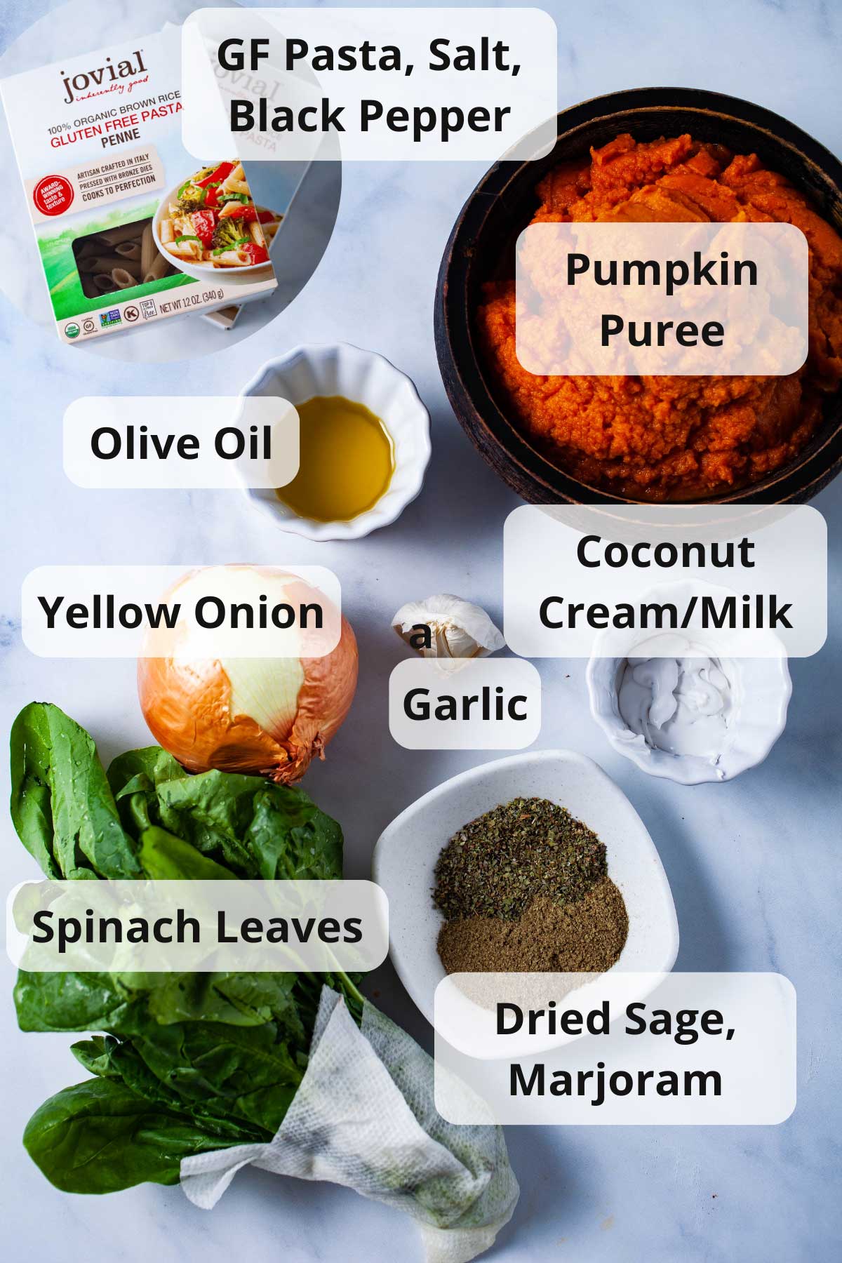 Ingredients laid out on a table to make a vegan pumpkin pasta sauce with penne.