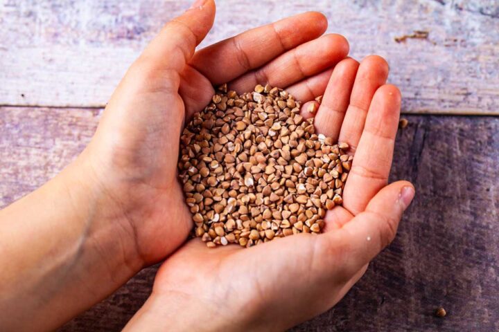 A child's hands cupped together holding kasha groats.