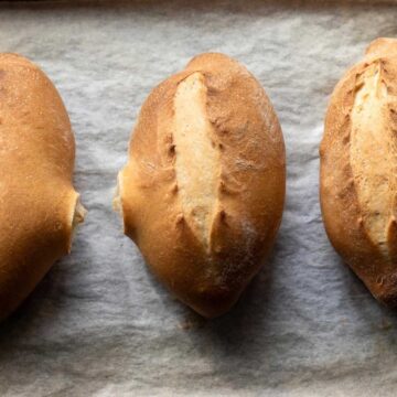 Mexican bread rolls baked and resting on a baking sheet.