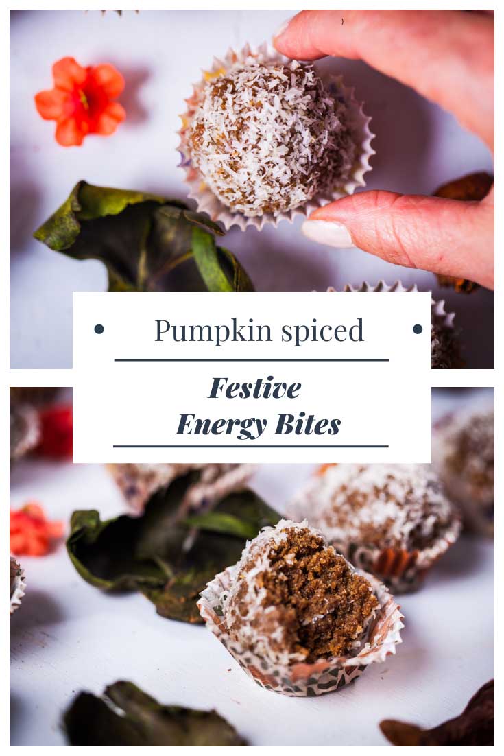 Toasted SteelCut Oats Energy Balls With Dates My Chef's Apron