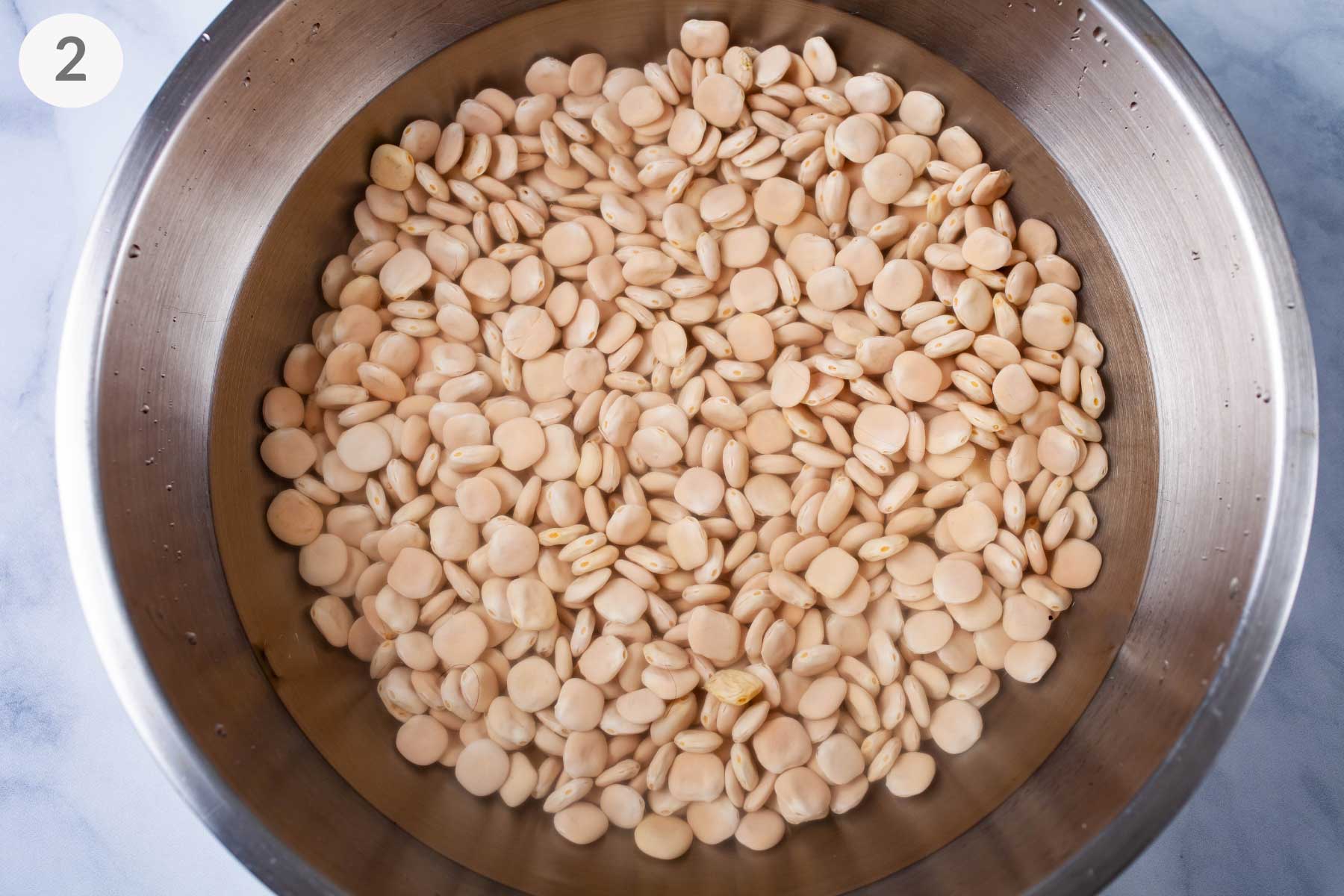 A bowl filled with uncooked Lupini beans submerged in water.