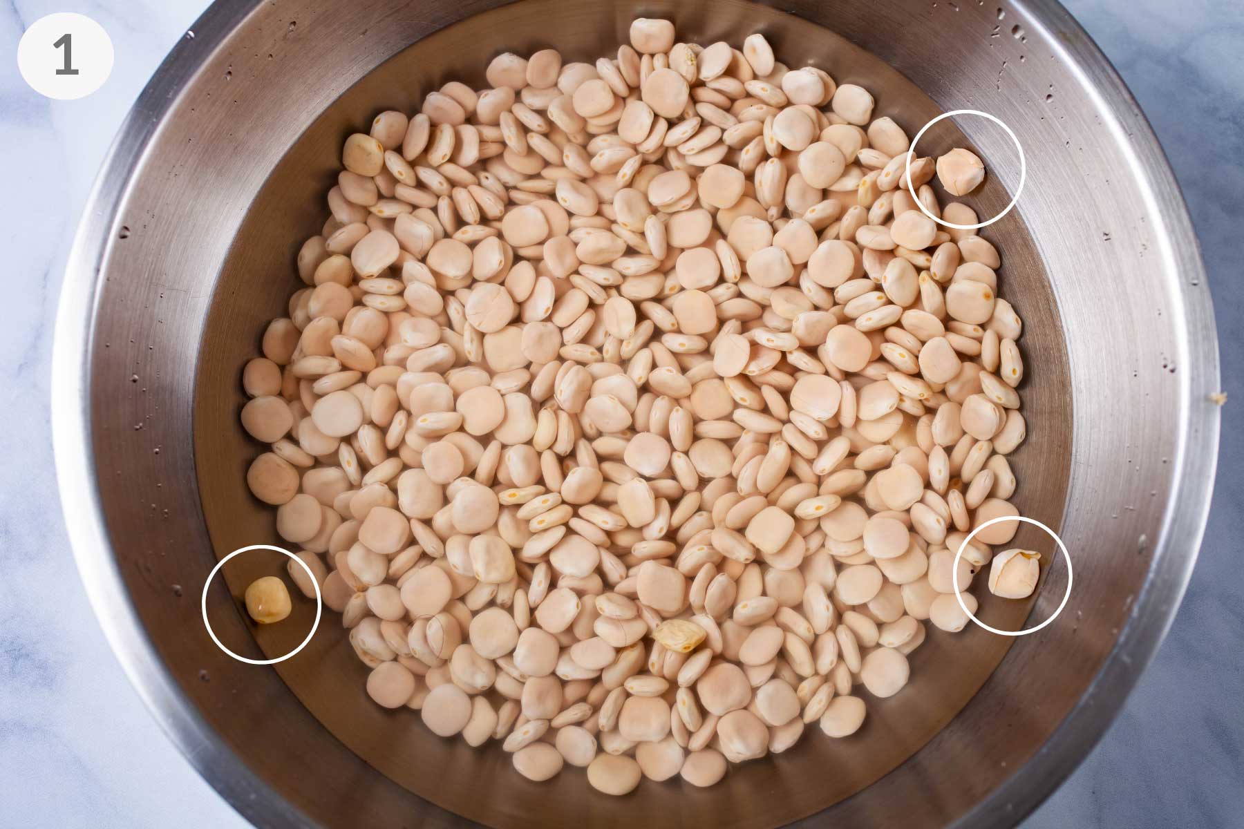 A bowl filled with uncooked Lupini beans submerged in water.