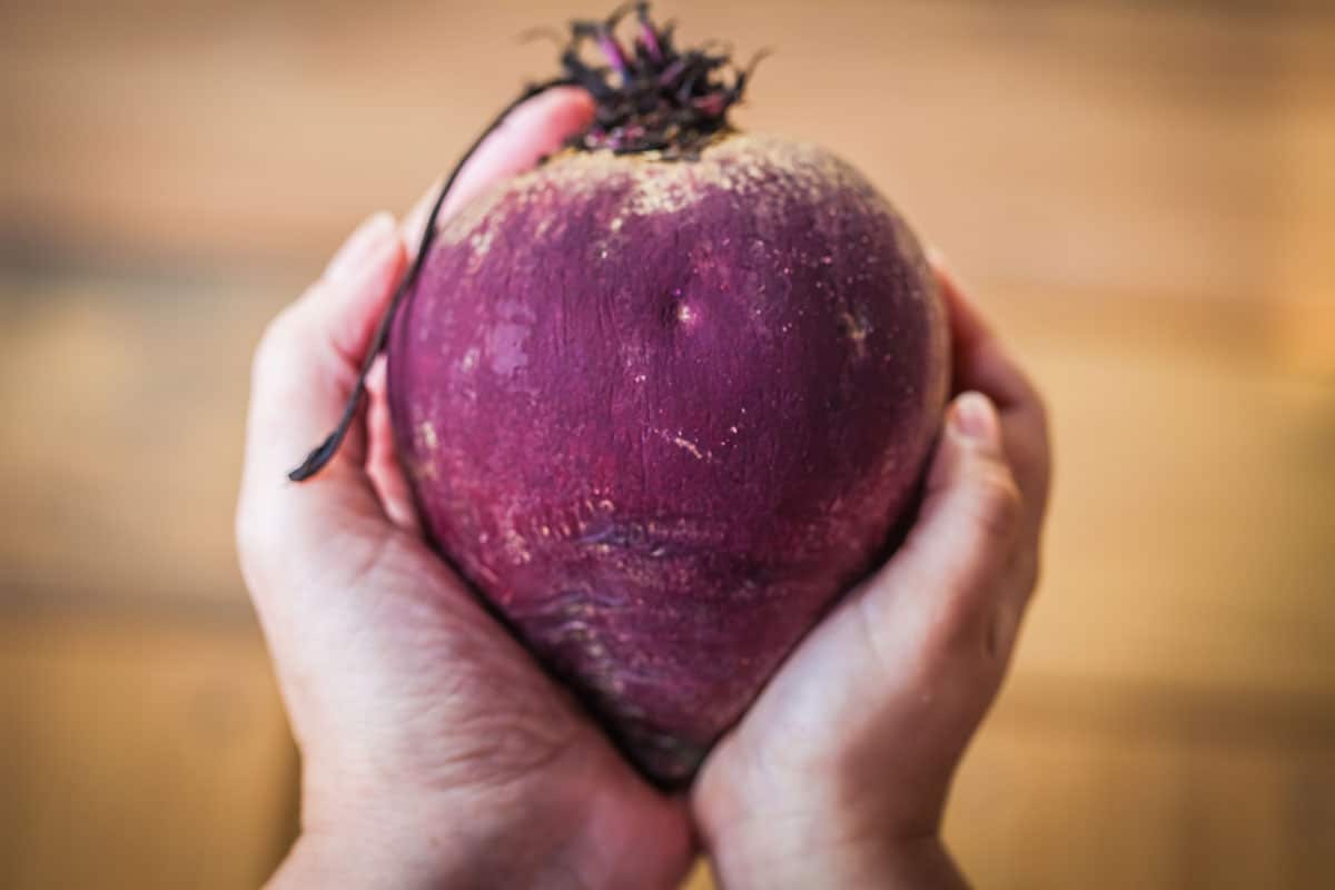 A child hands holding a raw red beet in the shape of a heart.