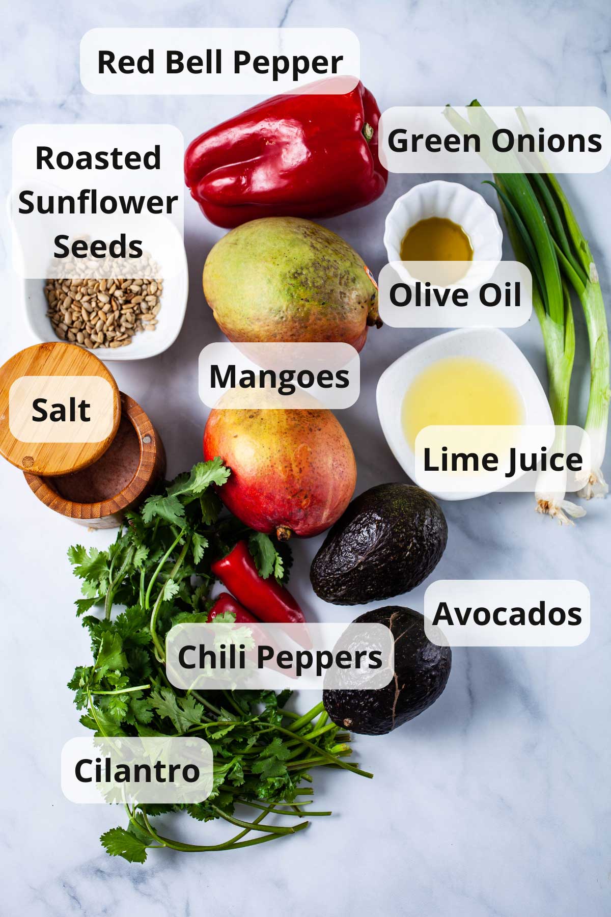 Red bell pepper, olive oil, green onions, fresh lemon juice, ripe avocados, red chili peppers, cilantro, salt, roasted sunflower seeds, and semi-ripe avocados displayed on a table.